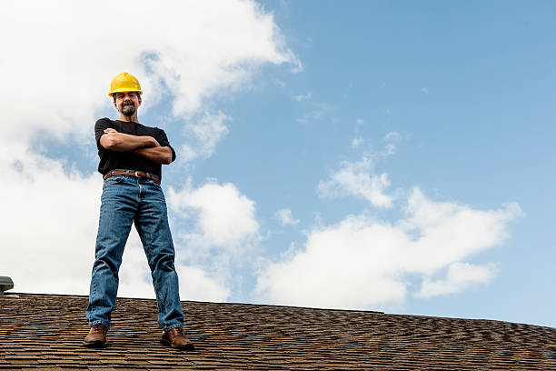 Best Roof Gutter Cleaning  in New Madison, OH